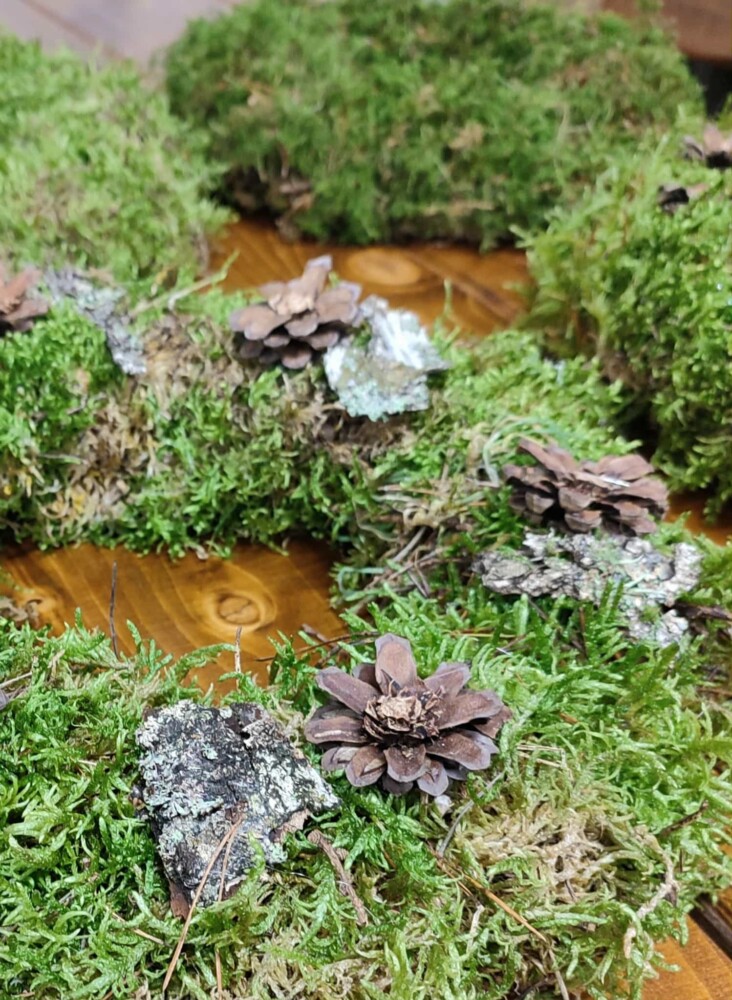 Fotografia przedstawia wianek opleciony mchem.