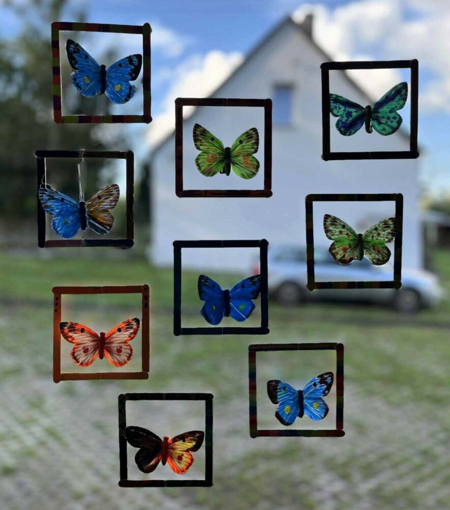 Fotografia przedstawia małe obrazki z kolorowymi motylkami .