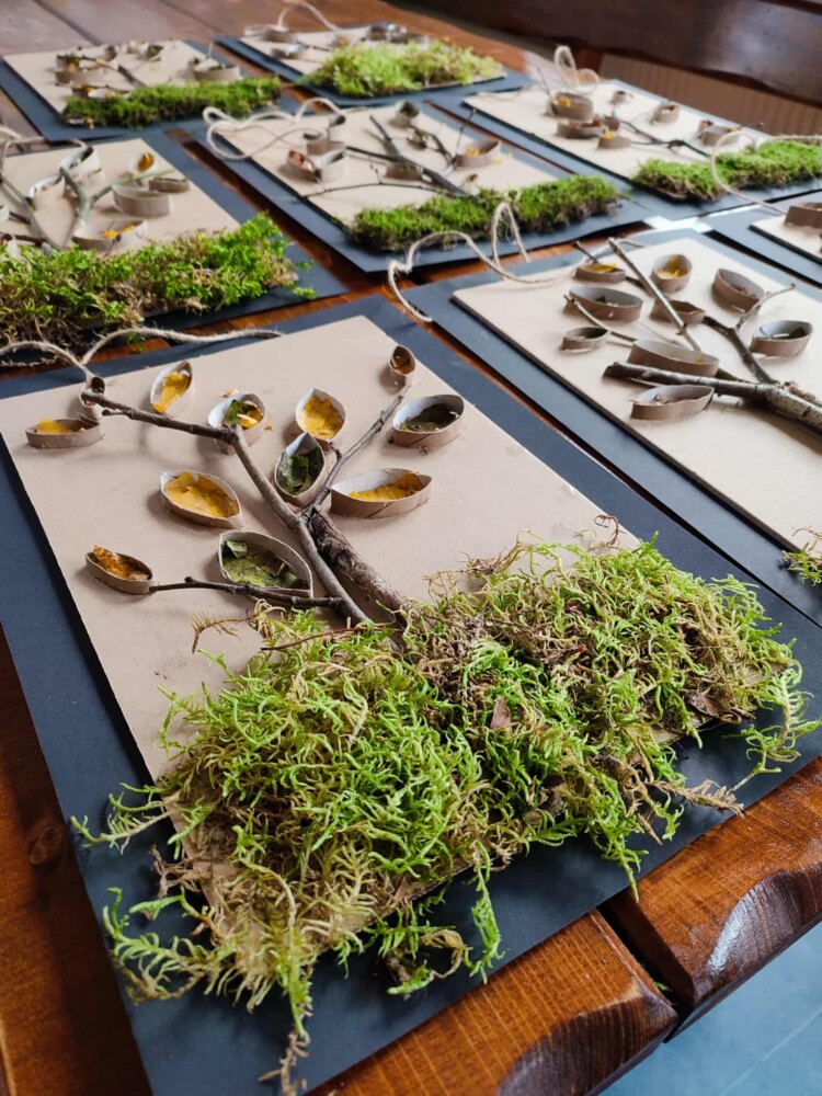 Fotografia przedstawia prace plastyczne, na których są wyklejone drzewa z naturalnych elementów.